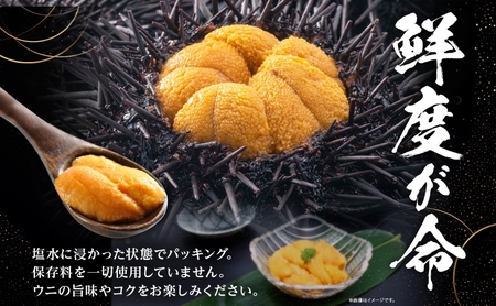 北海道 無添加塩水 ウニ 100g 3パック 2月中旬～3月中旬ごろまで順次出荷 バフン ムラサキ うに 雲丹 海鮮 小川商店 