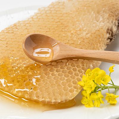 ふるさと納税 館山市 ひふみ養蜂園 はちみつ(500g×2)・ローヤルゼリー(30g) |  | 01
