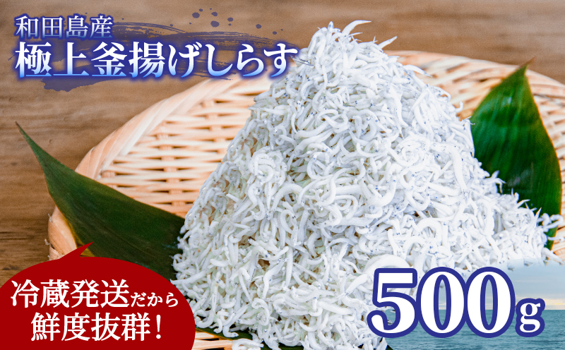 釜揚げ しらす 500g 2025年5月発送 国産 徳島県産 和田島産 とれたて 新鮮 産地直送 冷蔵 発送 小分け 250g 2袋 セット 和田島しらす ちりめん 魚介類 魚 小魚