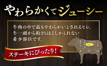 【全6回定期便】【A4/A5等級】博多和牛 ヒレステーキ 800g (100g×8枚) 糸島市 / ヒサダヤフーズ 黒毛和牛 牛肉 ヒレ肉  [AIA091]