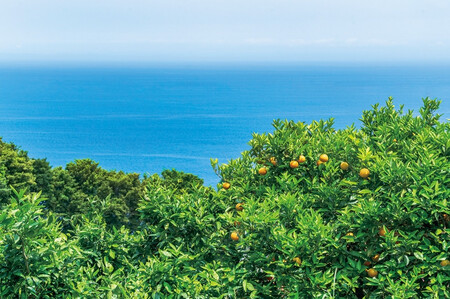 江之浦リトリート凛門 商品券(1万円分)