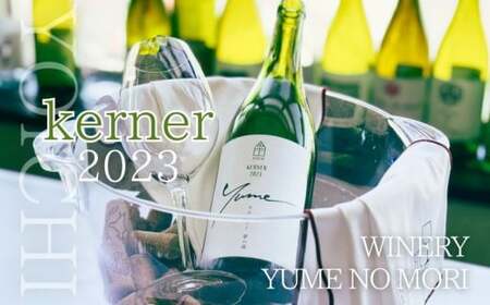 【数量限定】余市「ワイナリー夢の森」ケルナー2023 750ml 《３本セット》_Y034-0120