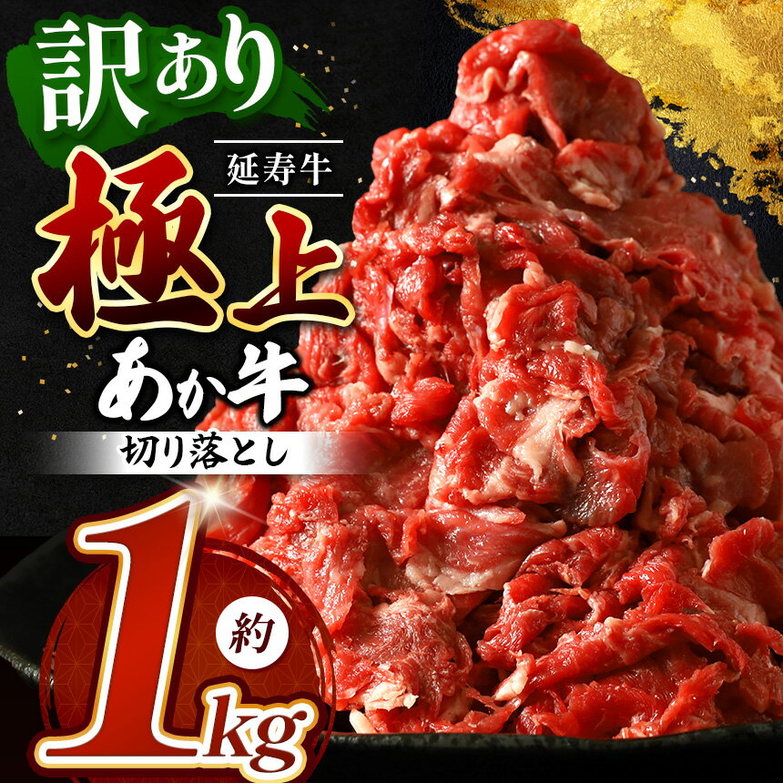 【ふるさと納税】熊本県産 あか牛 「-延寿牛-」 切り落とし 約1kg | 肉 にく お肉 おにく 牛 牛肉 延寿牛 切り落し 切落し 熊本 送料無料 玉名 熊本