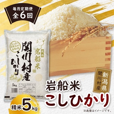 【毎月定期便】炊きたてつやつや 新潟関川村産 岩船米こしひかり　精米 5kg [星山米店]全6回【4076217】