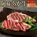 【ふるさと納税】 阿蘇あか牛 サーロイン 約500g （約100g×5袋）九州産 熊本県産 国産 国産牛 阿蘇 あか牛 牛肉 肉 お肉 霜降り 霜降り肉 ステーキ ステーキ肉 冷凍 熊本県 相良村 送料無料