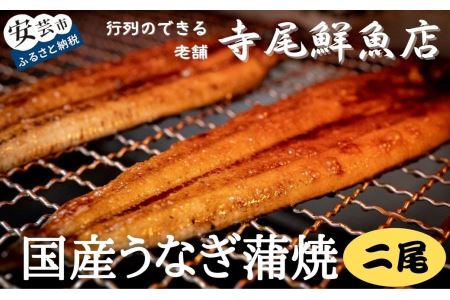 お魚屋さんのうなぎ蒲焼 約400g （2尾）ウナギ ふっくら肉厚 大容量