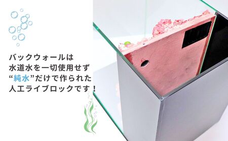 【海水魚専用】ハンドメイド小型水槽（30×20×25cm）※ポンプ付き | 新潟県 出雲崎町