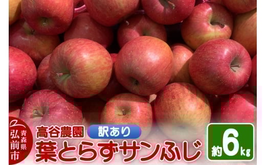 【25年11月～発送】りんご 高谷農園【訳あり】葉とらずサンふじ 約6kg【レビューキャンペーン】
