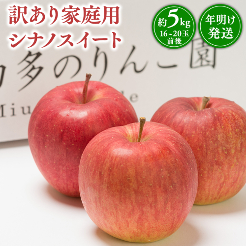 年明け発送 【訳あり】家庭用 シナノスイート 約5kg【那由多のりんご園・平川市産】