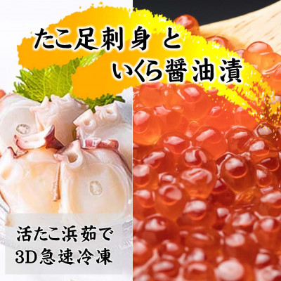 いくら醤油漬け200gとたこ足刺身用400g【配送不可地域：離島・沖縄県】