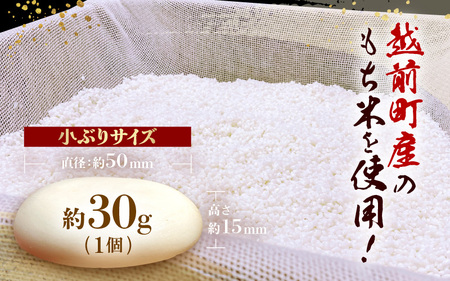 雪んこ餅 杵つき餅 丸小もち  1.2kg（ 30g × 40個 ) 小さいサイズ餅 国産 【雑煮 ぜんざい 年末年始 御馳走 添加物不使用 少量 小分け】 [e26-a006]