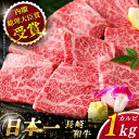 【ふるさと納税】【大自然の贈り物！】 長崎和牛 カルビ 約1.0kg【ながさき西海農業協同組合】 [QAK004] 肉 牛肉 和牛 焼き肉 バーベキュー BBQ 赤身 焼肉 贈り物 ギフト ランチ 丼 さざちょう おすすめ おすすめ キャンプ 6万円 60000円