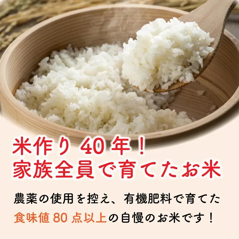 お米 コシヒカリ 5kg 定期便3回 令和8年産 【 米 】