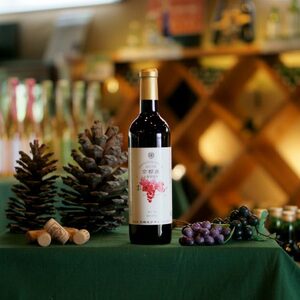 【赤ワイン/甘口】京都・京丹後産ぶどうを醸造した甘口の赤ワイン 2本セット＜スカットベーリーA/サペラヴィ/セイベル13053をブレンドした甘口 赤ワイン＞