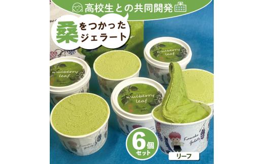 桑の葉 ジェラート マルベリーリーフ 6個 高校生 共同開発 ご当地アイス 冷凍 川高ジェラート 徳島県 吉野川市