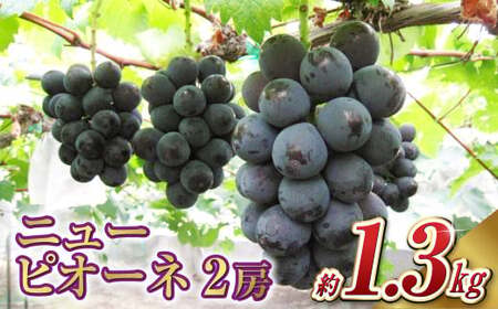 ニュー ピオーネ 2房（1房 650g前後）【2026年7月下旬～9月下旬 発送予定】【産地直送 岡山県産 国産 ニューピオーネ ブドウ 葡萄 ぶどう 果物 ギフト たけまさぶどう園 人気フルーツ 岡山フルーツ おすすめフルーツ 岡山県 倉敷市 おすすめ 人気】