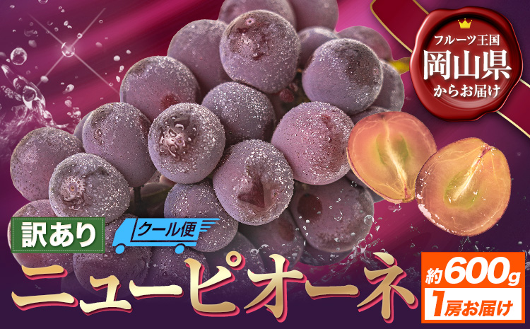 【先行予約】訳あり ニューピオーネ 約600g 1房 ブドウ 葡萄 果物 秋旬 訳あり 優品 厳選出荷 フルーツ デザート 岡山県 浅口市《8月下旬‐10月中旬頃出荷)》ニューピオーネ