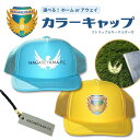 【ふるさと納税】NAGAREYAMA F.C. 応援 選べる カラー キャップ ストラップ キーホルダー 付き