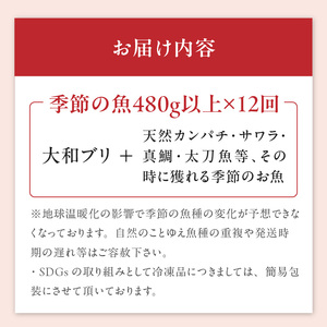 【12ヶ月定期便】大和海商　こだわり漁師のお刺身　6人前　N072-ZG069