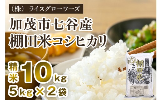 【令和7年産】新潟県加茂市 七谷産 棚田米コシヒカリ 精米10kg（5kg×2）《順次出荷》 白米 （株）ライスグローワーズ