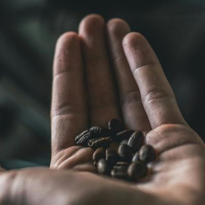 ふるさと納税 筑後市 【発送月固定定期便】グアテマラ　ゴールデンパレンシア(中深煎り)200g×2袋全12回 |  | 03