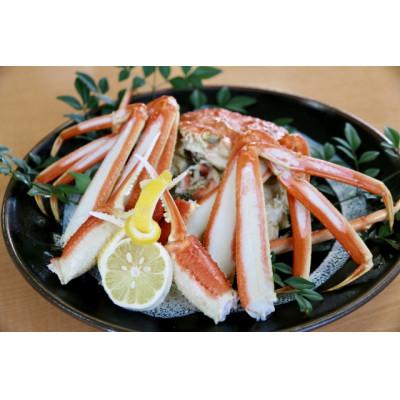 ふるさと納税 琴浦町 【先行予約】ブランドタグ付き 松葉ガニ(ボイル)　1枚(800g以上)　【年明け配送】 |  | 01