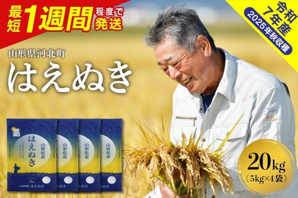 
            【令和7年産米】※選べる配送時期 最短1週間程度発送※ はえぬき20kg（5kg×4袋） 山形県産 【米comeかほく協同組合】　ka024-041d-r7
          