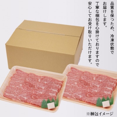 【飛騨牛】赤身焼肉用　300g×2　合計600g【配送不可地域：離島】