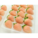 【ふるさと納税】ピンクいちご 大粒 250g(8～12個)×4pc 県内共通返礼品【配送不可地域：離島・北海道・沖縄県・中国・四国・九州】【1508202】