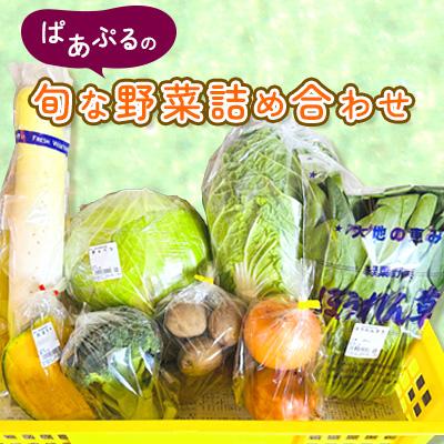ふるさと納税 野田村 ぱあぷるの旬な野菜詰め合わせ