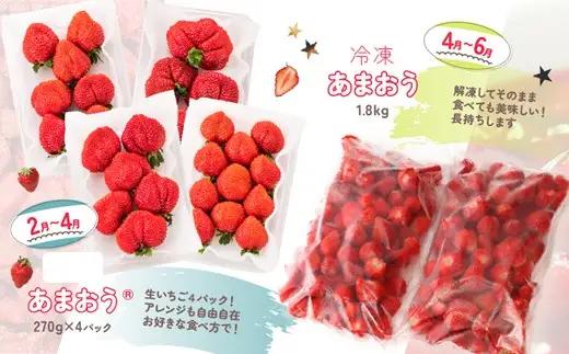 DH005.【あまおうが大好きなアナタへ】あまおう定期便（全4回）【北海道・沖縄・離島へ配送不可】【あまおう】