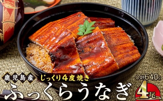 うなぎ 蒲焼 160g×4尾【鹿児島産】地下水で育てた絶品鰻
