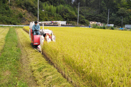 令和5年産 南三陸町産ひとめぼれ めぐりん米（玄米）1kg