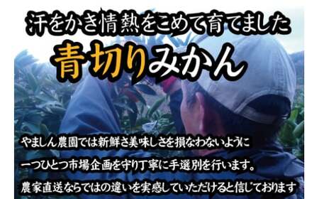 【2025年秋頃発送予約分】【農家直送】こだわりの青切りみかん 約2kg  有機質肥料100%　 サイズ混合　※2025年9月下旬より順次発送予定（お届け日指定不可）【nuk169】