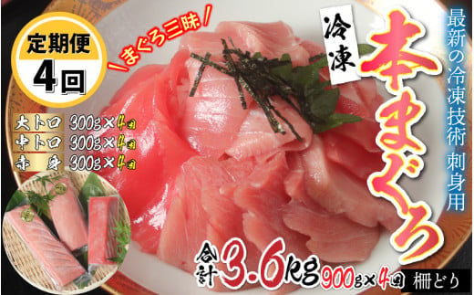 
 【定期便】【4ヶ月連続お届け】 刺身用！本マグロ堪能セット（柵どり） 計 900g × 4回 【最新の冷凍技術】[M-11004]
