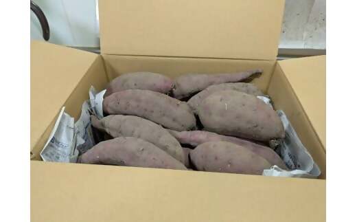 農薬・化学肥料不使用　温室効果ガス削減に貢献しながら、のどかな畑で大切に育てた　熟成　蜜芋　サツマイモ（紅はるか）４ｋｇ　S～LLサイズ混合  TFN-01