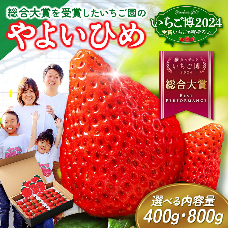 【ふるさと納税】【選べる内容量】【いちご博総合大賞】やよいひめ （約400g・約800g） | いちご ストロベリー 新鮮 完熟 大粒 果物 フルーツ 産地直送 農家直送 国産 人気 おすすめ 高級 ギフト 贈答 大賞受賞 高評価 群馬県 伊勢崎市 先行受付 先行予約 ※2027年1月～発送