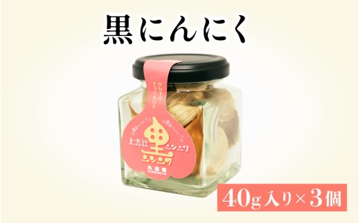 黒にんにく バラ 120g（40ｇ入り × 3個）にんにく ニンニク 国産 野菜 健康 福井県産 永平寺