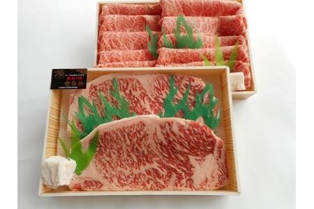 おおいた和牛サーロイン ステーキ 220g×2枚・リブローススライス400g ステーキ肉 牛肉 豊後牛 焼肉 焼き肉 赤身肉 大分県産 中津市