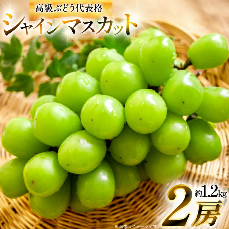 【ふるさと納税】【期間限定発送】 シャインマスカット 2房 約1.2kg [tk06ays830004 山形県 高畠町 安達敏幸] 箱詰め フルーツ 果物 くだもの ぶどう ブドウ 葡萄 1.2キロ 甘い