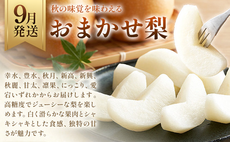 旬の フルーツ 定期便 2ヶ月連続 秀品 リッチ 日本フルーツ株式会社《9月より出荷開始》熊本県 荒尾市 おまかせ 梨 早生みかん 果物 フルーツ スイーツ デザート ギフト ご贈答