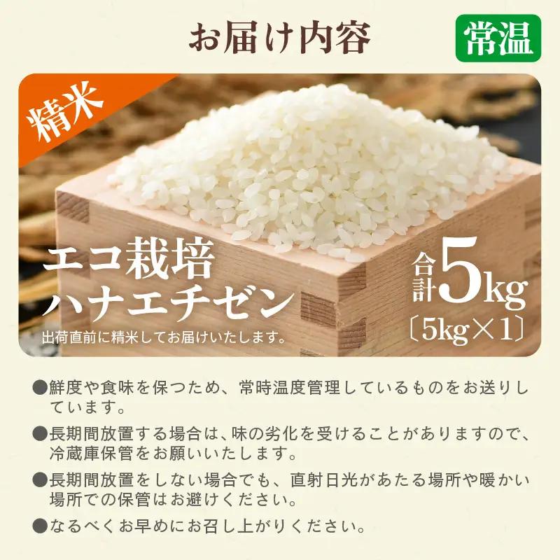 【先行予約】【令和8年産 新米】 エコ栽培ハナエチゼン　白米5kg ／ 鮮度抜群 福井県産 はなえちぜん ご飯 新鮮 白米 ※2026年9月上旬以降順次発送予定 [aw063-a016]