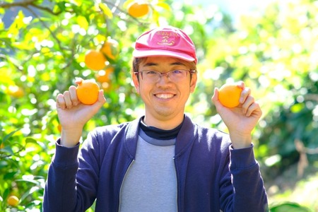 訳あり 早生 みかん 9kg 河野農園 温州みかん 早生みかん 早生温州 温州 蜜柑 mikan 愛媛みかん 愛媛蜜柑 愛媛ミカン 果物 くだもの フルーツ おすすめ 人気のみかん 訳アリ 訳あり品 