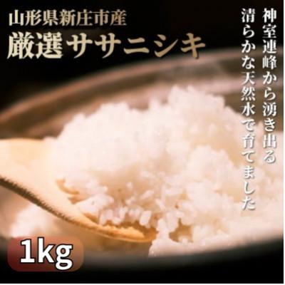 ふるさと納税 新庄市 厳選ササニシキ(精米) 1kg