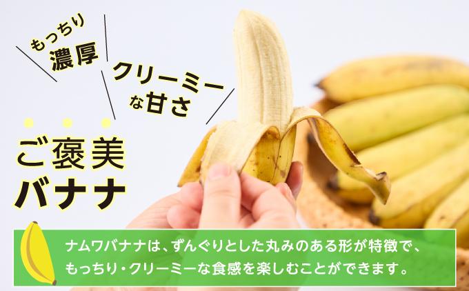 ナムワバナナ　1kg 1kg/通常配送