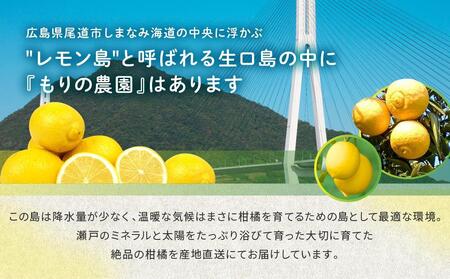 【有機JAS認証】レモン島からお贈りするオーガニックレモン 9kg 有機レモン 2025年2月以降発送予定 産直 国産 有機栽培