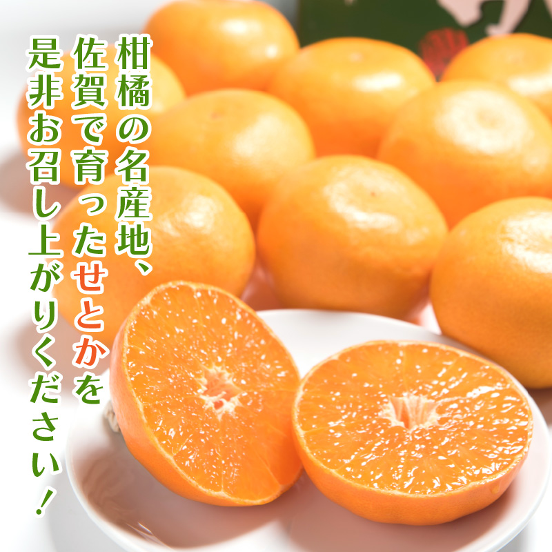 佐賀産 柑橘類 せとか 約1.5kg （4〜7玉） 147-B405