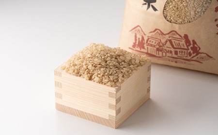 【令和7年産】新米コシヒカリ 村の「一等米」10kg(玄米5kg×2袋) 岡山県産のお米【1489807】