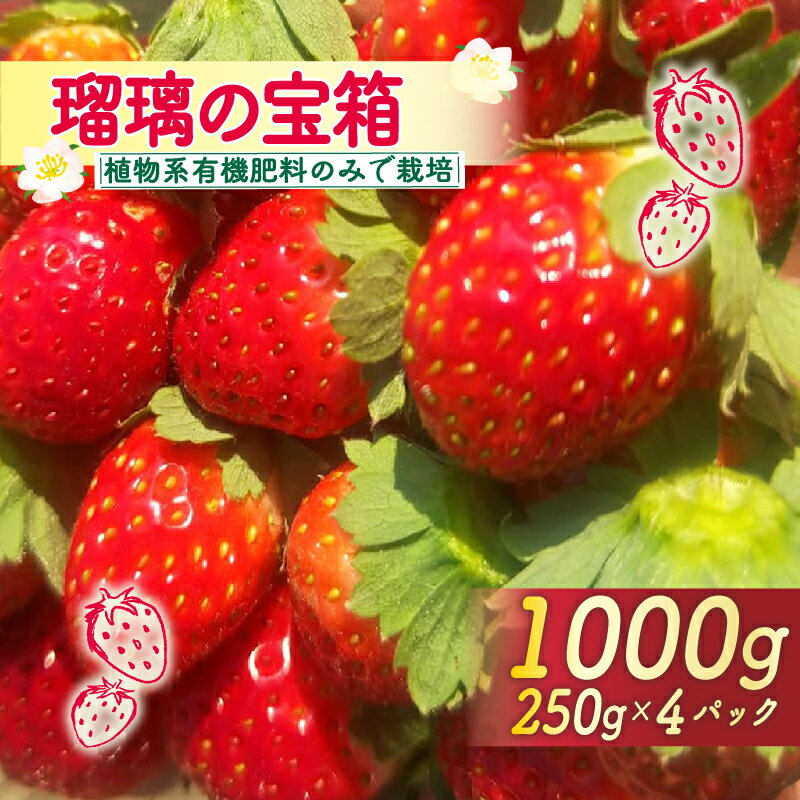 【ふるさと納税】 2026年3～5月発送 いちご 1000g 瑠璃の宝箱 オーガニックイチゴ 250g 4パック イチゴ 苺 フルーツ 果物 国産 ブランド 産地 直送 フレッシュ 有機JAS 京都 八幡 八幡市 かみむら農園