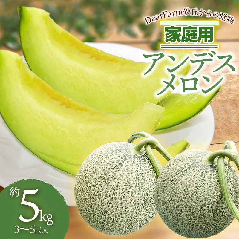 【ふるさと納税】【令和8年産先行予約】DearFarm砂丘からの贈物　＜家庭用アンデスメロン＞約5kg（3～5玉）　山形県鶴岡市　K-832
